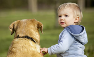 IStockphoto