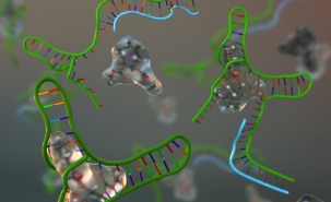 Artist's rendering: the research team used an existing cocaine biosensor (in green) and revised its design to react to a series of inhibitor molecules (in blue). They were able to adapt the biosensor to respond optimally even within a large concentration window. undefined