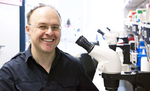 Alex Parker, chercheur au CRCHUM et professeur au Département de neurosciences de l'Université de Montréal. Photo : CHUM.